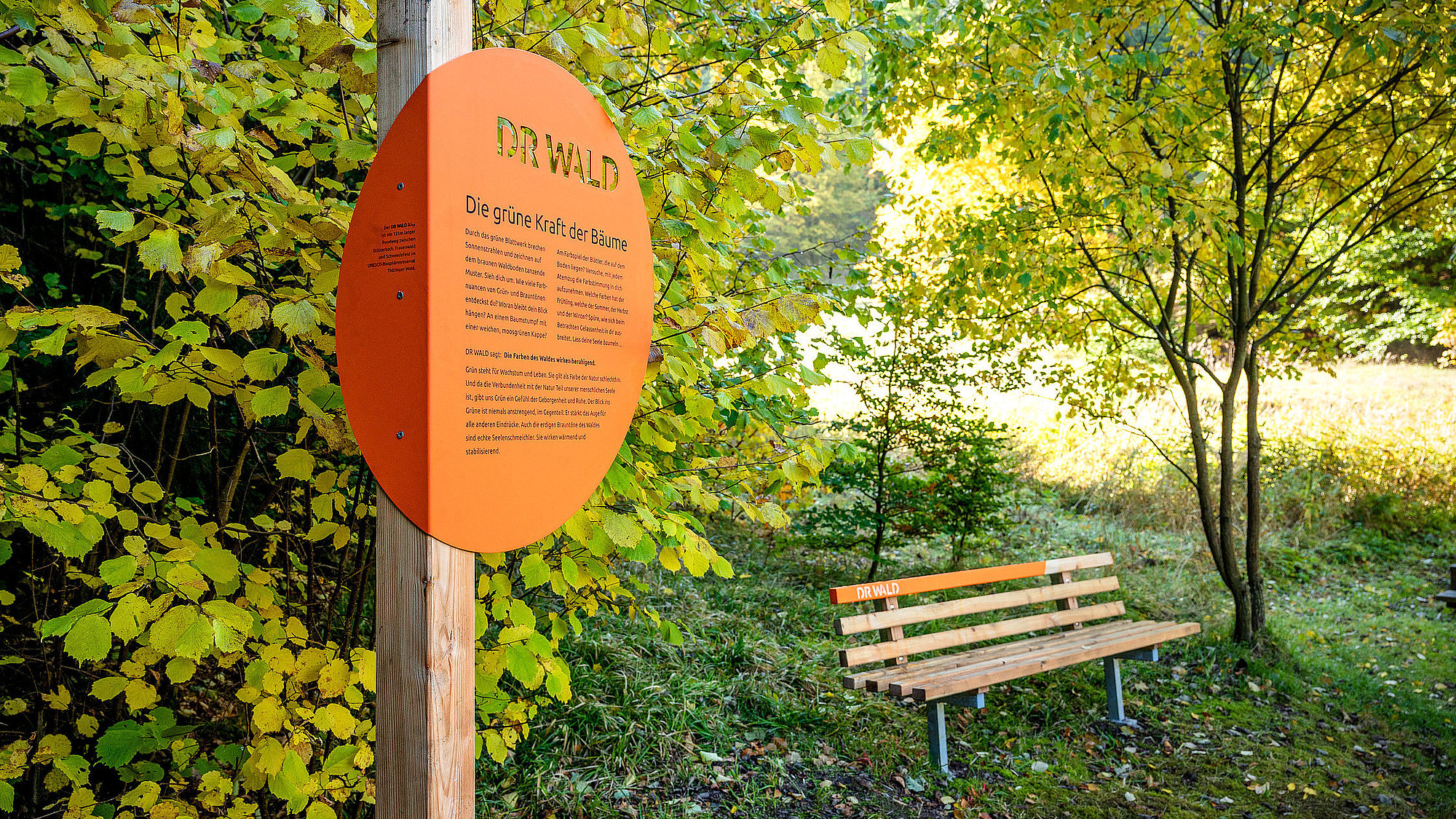 Schild zum Wanderweg DR WALD Weg mit Bank 