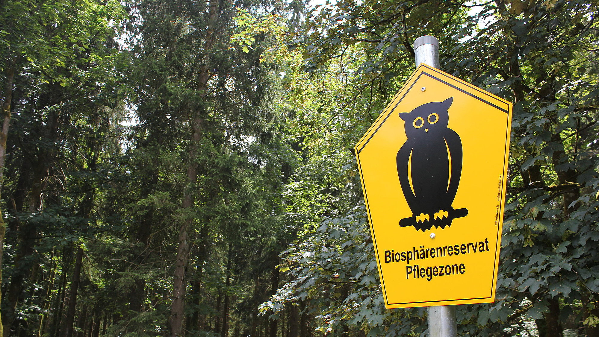 Schild mit Naturschutzeule und Text Biosphärenreservat Pflegezone an Waldrand