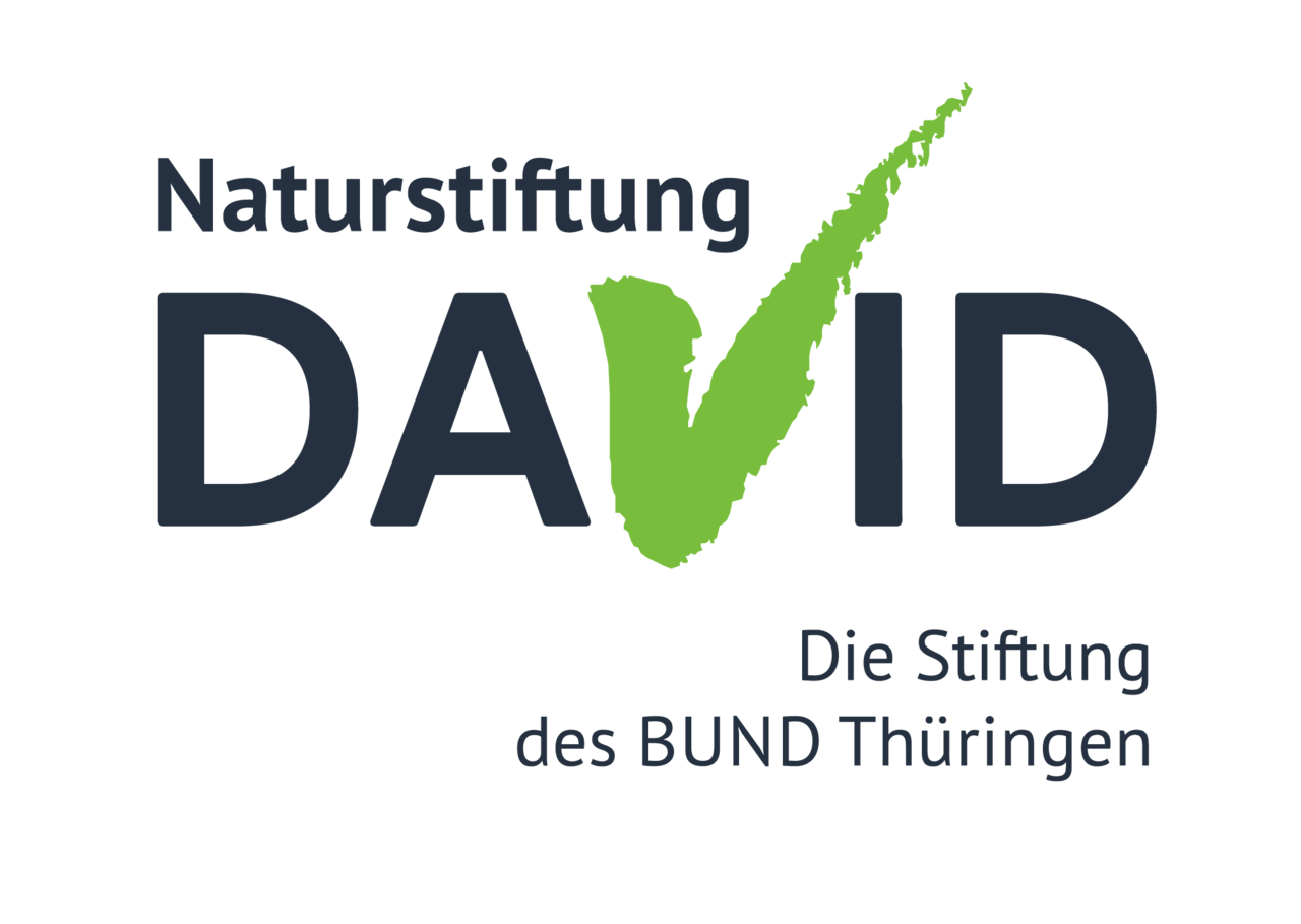 Logo Naturstiftung David