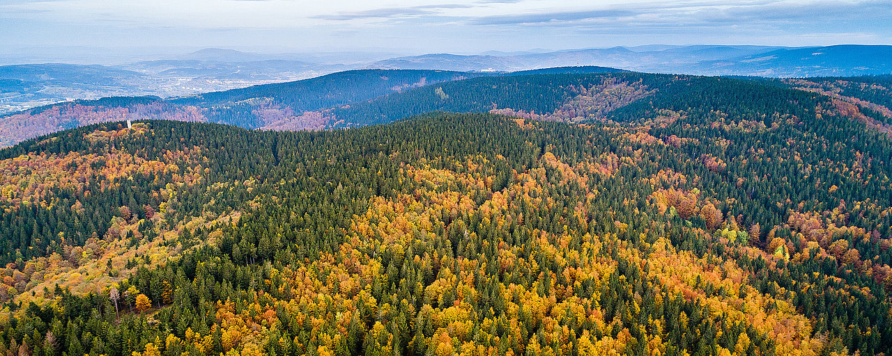 Blick über den Kamm des Thüringer Waldes