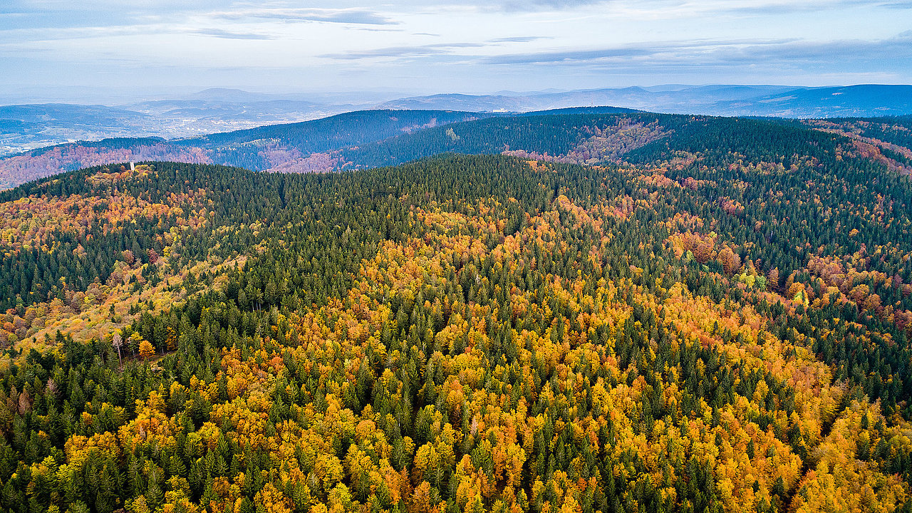 Blick über den Kamm des Thüringer Waldes