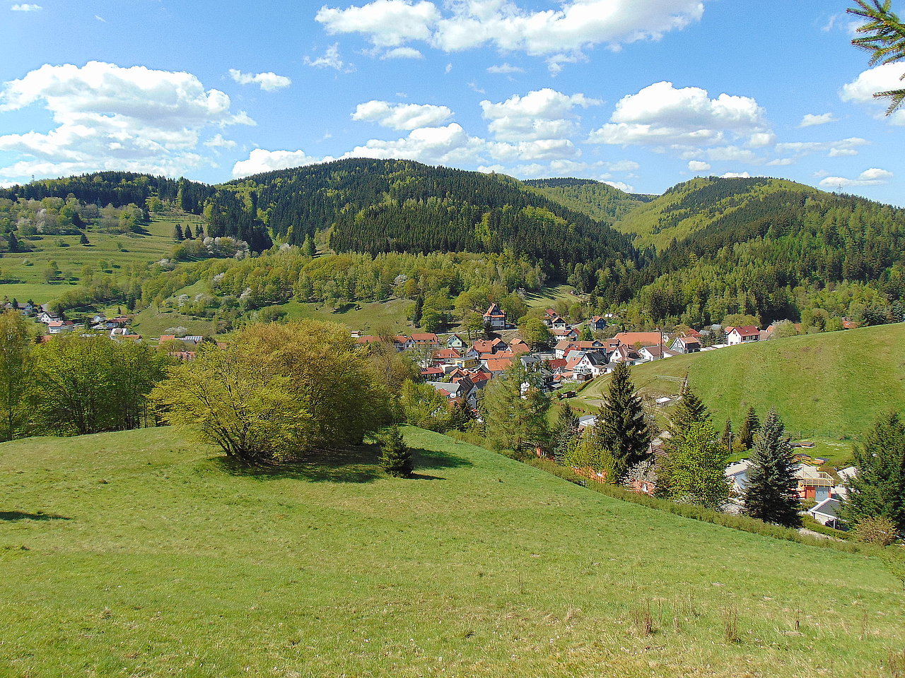 Ansicht der Ortschaft Schönbrunn