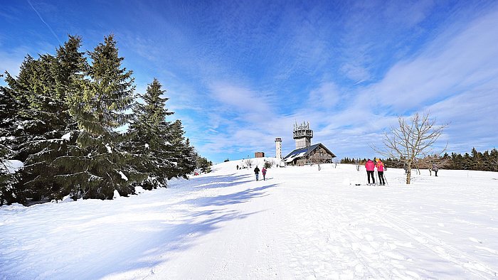 Winterwald mit blauem Himmel