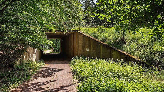 Blick auf Wanderweg mit Unterführung