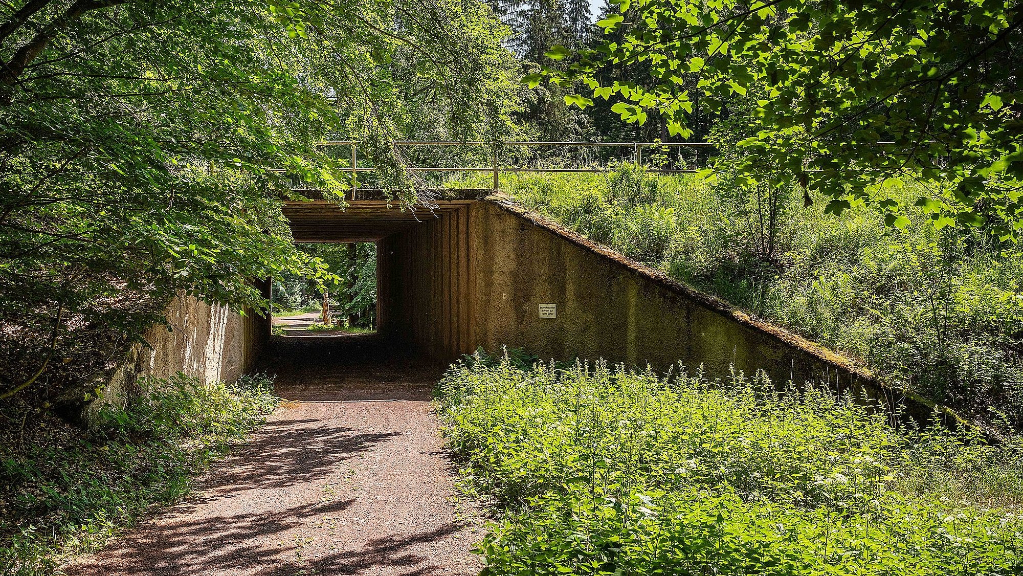 Blick auf Wanderweg mit Unterführung