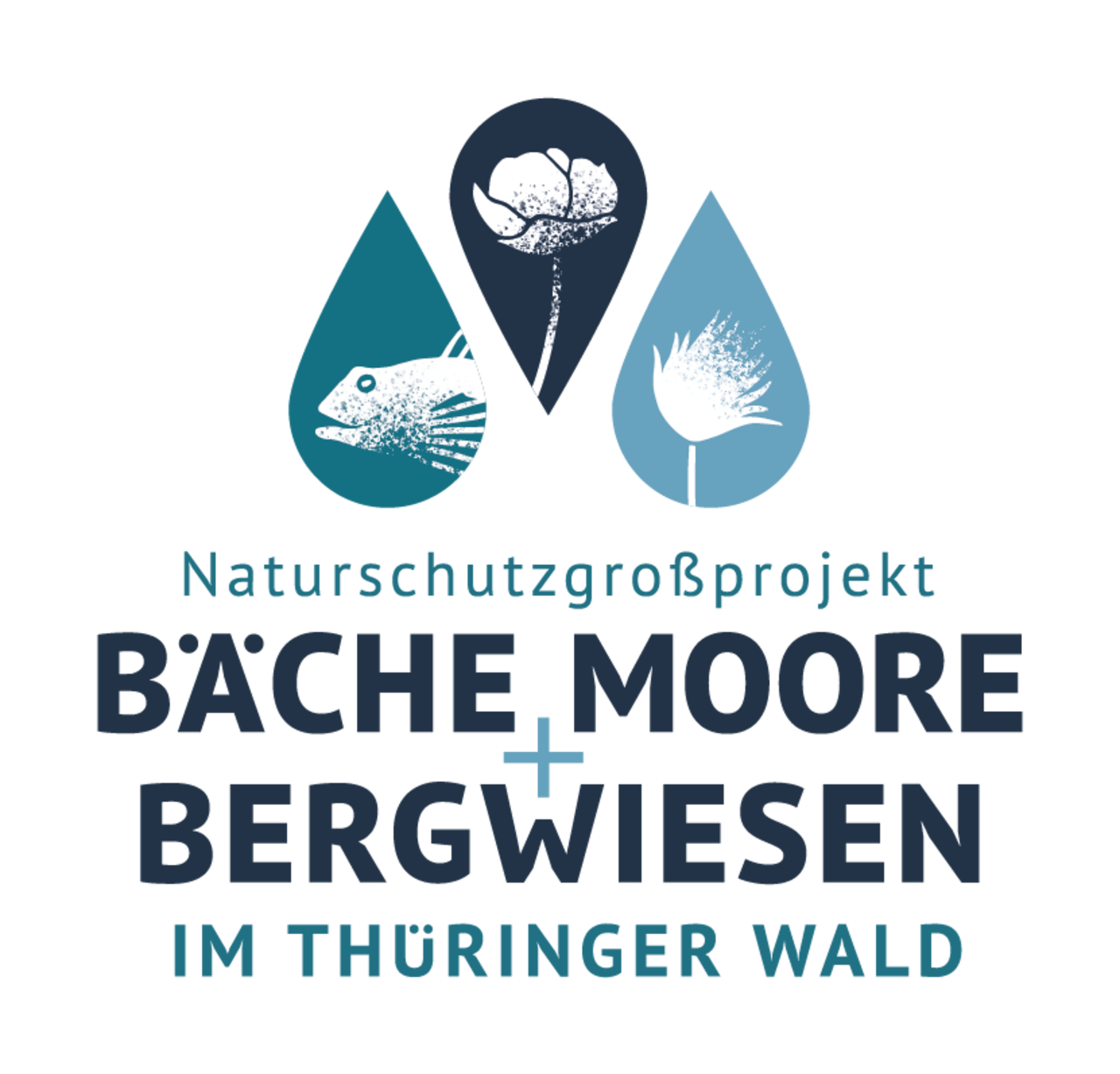 Logo Naturschutzgroßprojekt Bäche, Moore + Bergwiesen im Thüringer Wald
