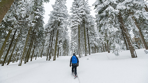 Mann im Winterwald mit Schneeschuhen unterwegs