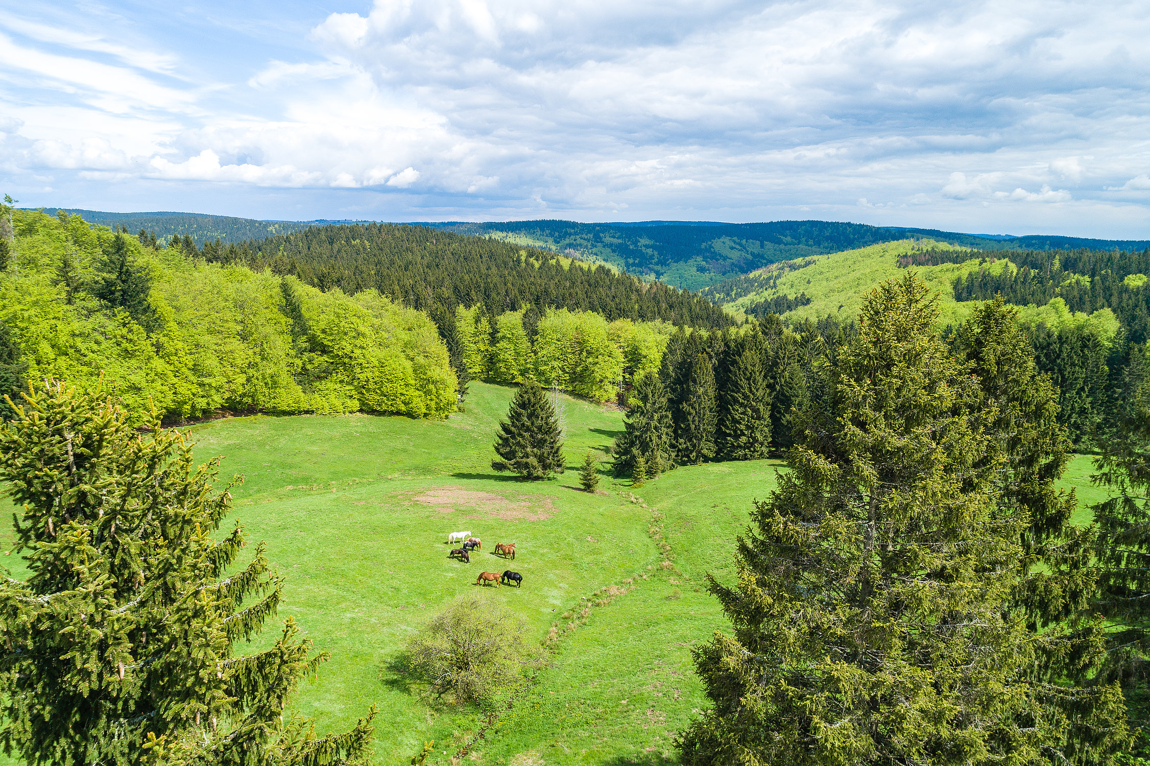 Landschaftsbild UNESCO Biosph renreservat Th ringer Wald Landschaftsbild UNESCO Biosph renreservat Th ringer Wald
